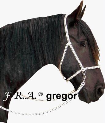 hoofdstel gregor - Horse Top Shop